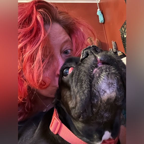 Meet your Posher, Lolly - Picture 3 of 16